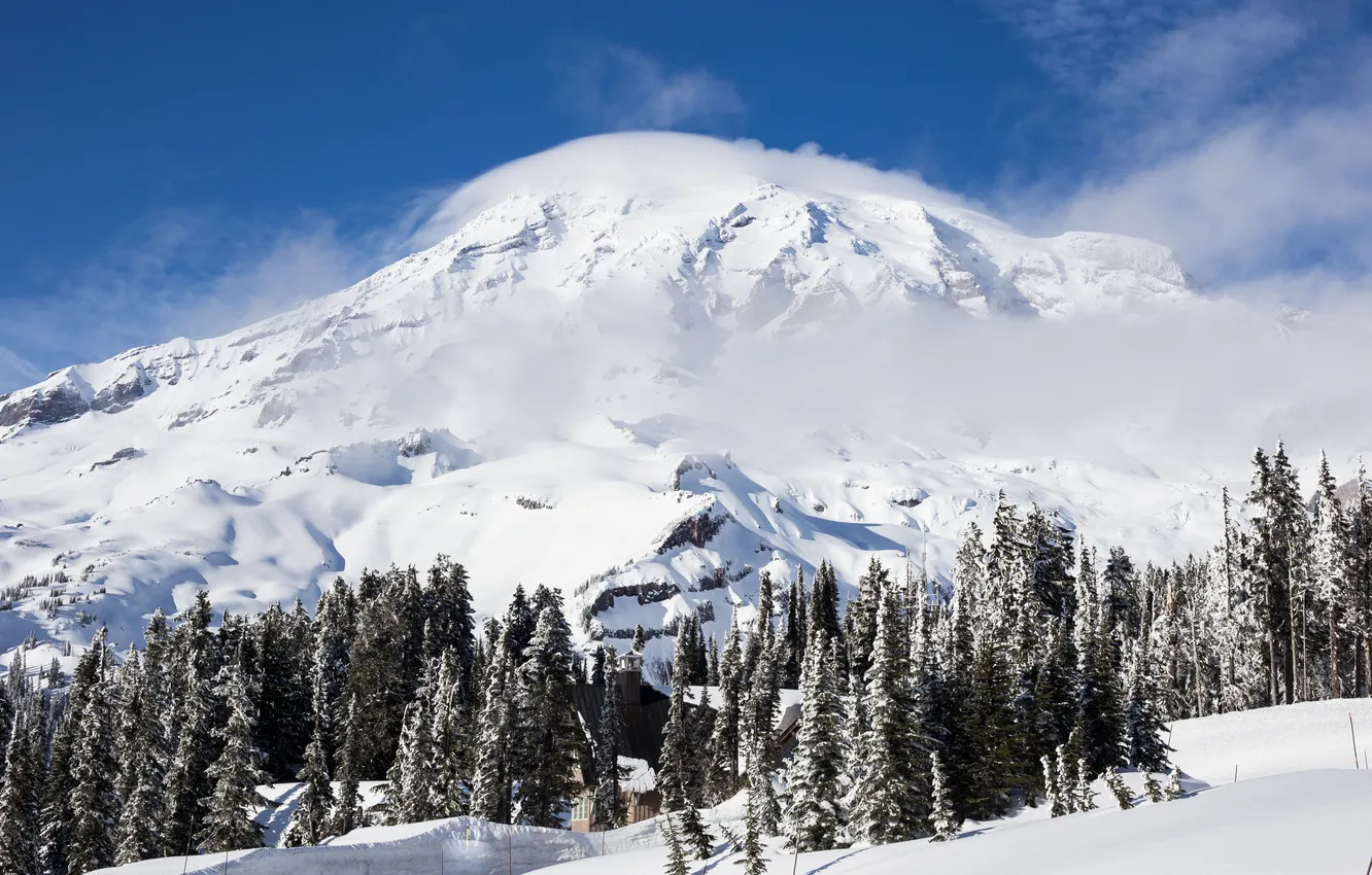 Photo wallpaper winter, forest, the sky, mountain, house, National Park, Mount Rainier