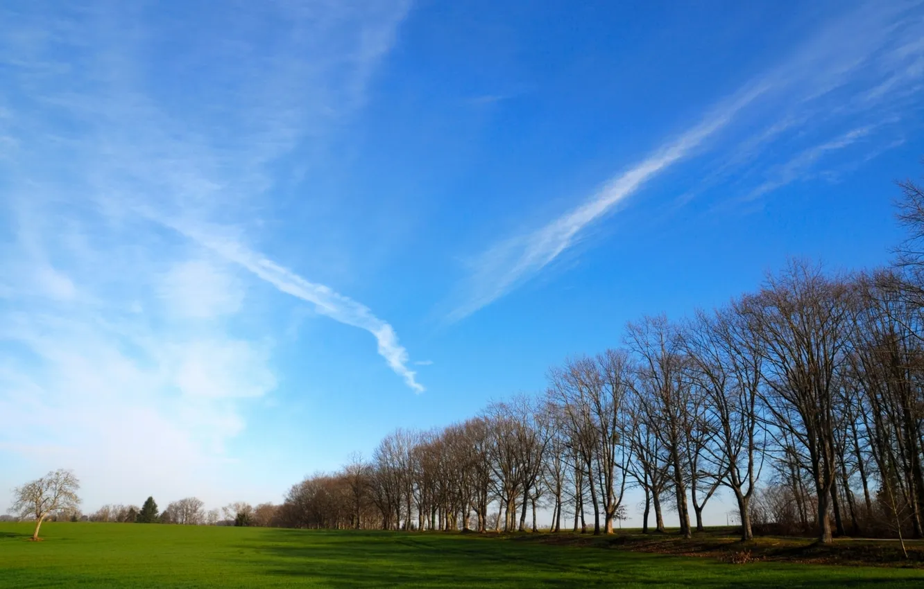 Photo wallpaper greens, field, grass, the sun, trees, landscape, nature, plant