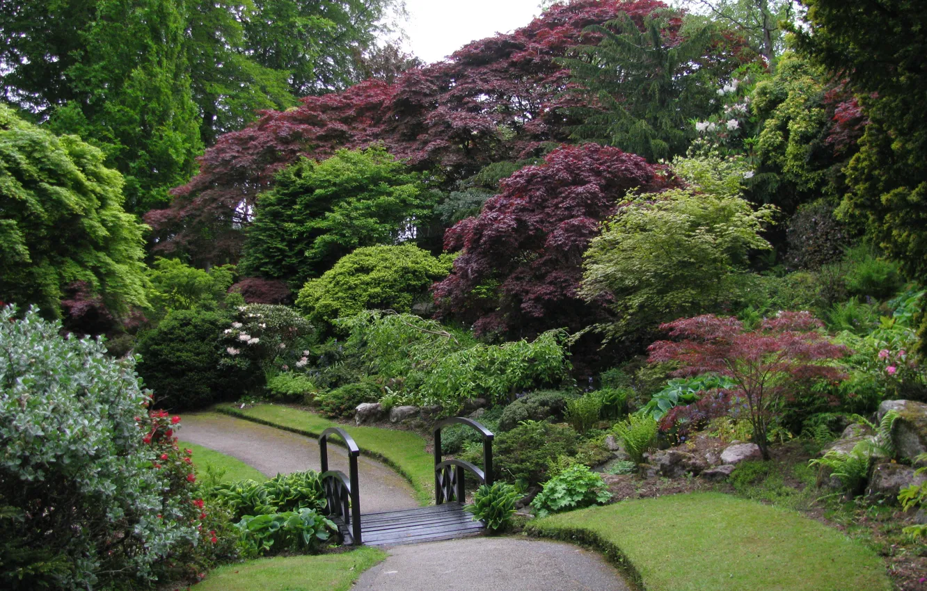 Photo wallpaper Park, plant, garden, nature, park, garden, path