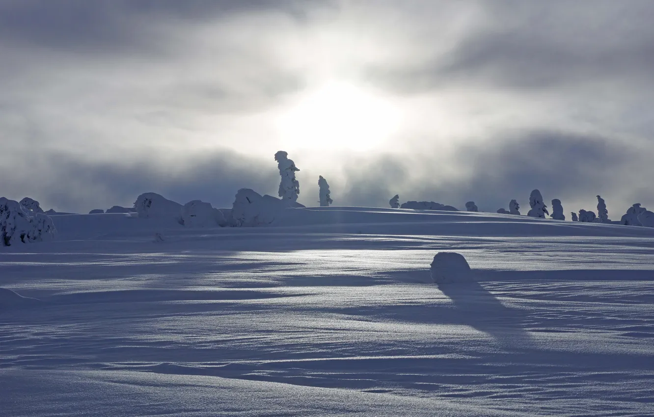 Photo wallpaper winter, field, forest, the sky, the sun, clouds, light, snow