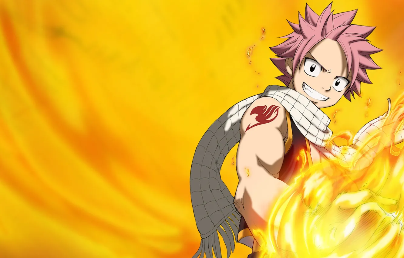 Photo wallpaper the film, 2009, fairy tail, fairy tail