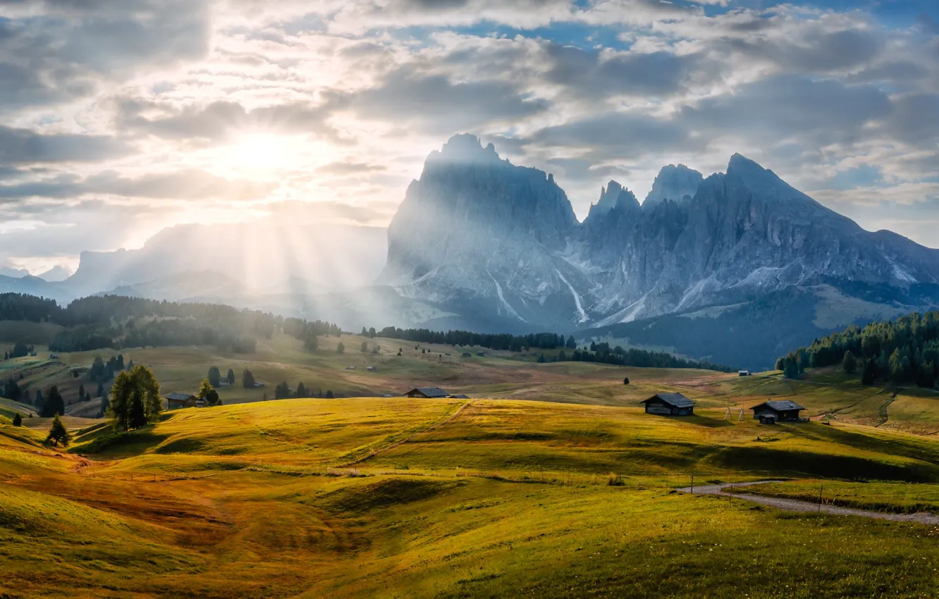 Photo wallpaper field, forest, the sun, clouds, mountains, fog, dawn, hills