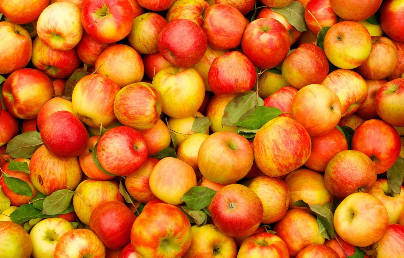 Photo wallpaper summer, apples, fruit