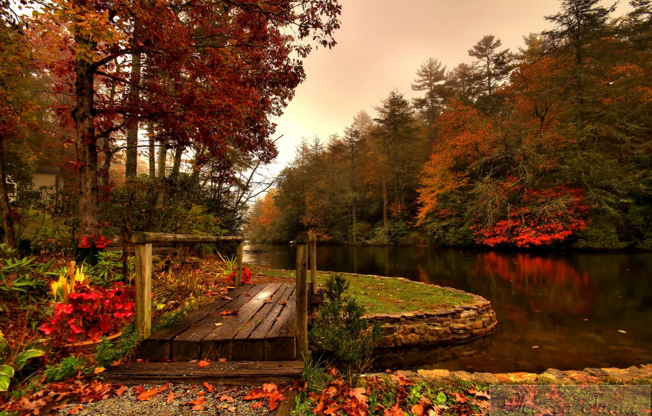 Photo wallpaper autumn, forest, river, the bridge