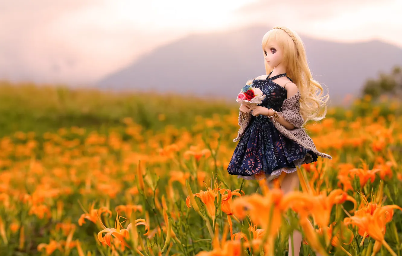 Photo wallpaper toy, Lily, doll, dress