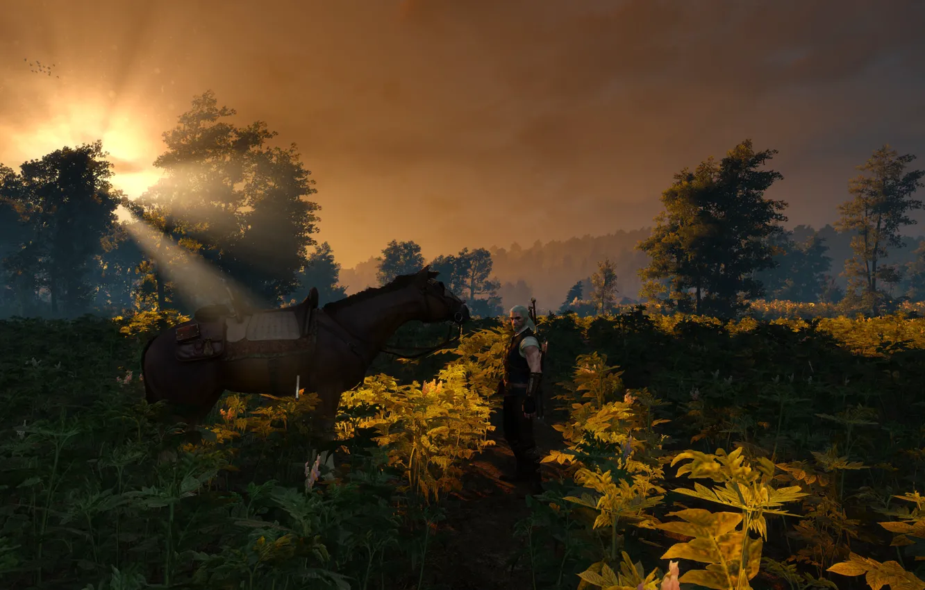 Photo wallpaper sunset, sword, warrior, armor, The Witcher, The Witcher, Geralt, horse