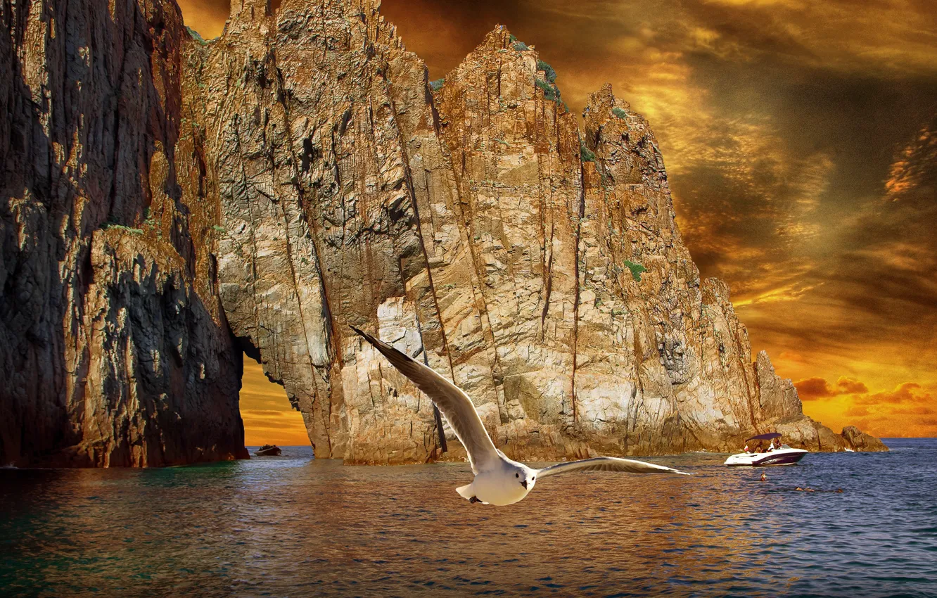 Photo wallpaper sea, rendering, rocks, bird, shore, Seagull