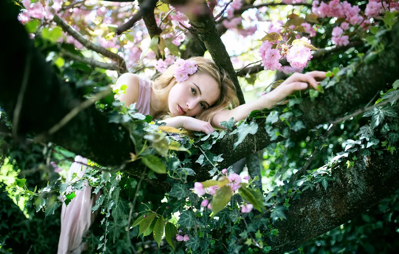 Photo wallpaper girl, Takers, Priroda