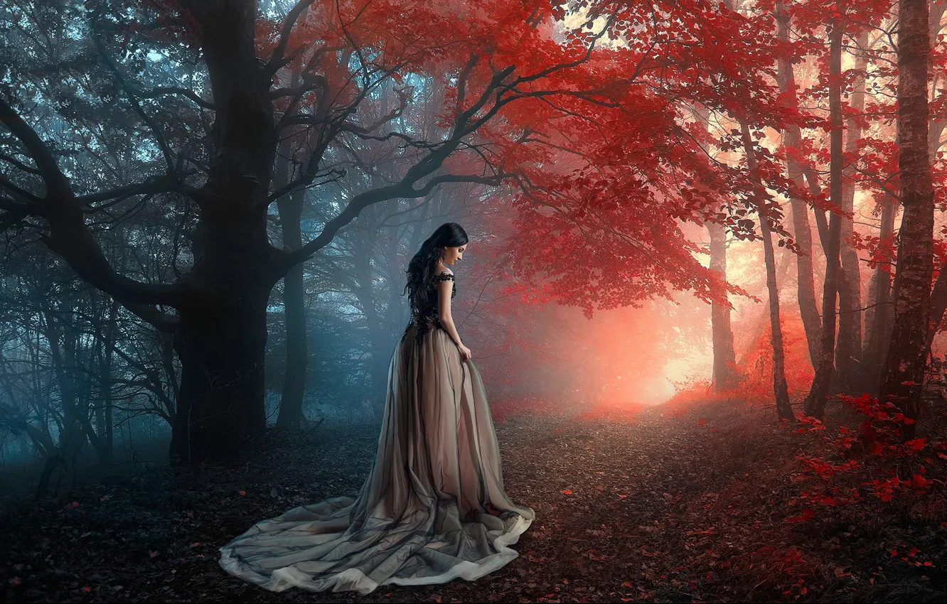 Photo wallpaper autumn, forest, girl, trees, mood, dress, Renat Khismatulin