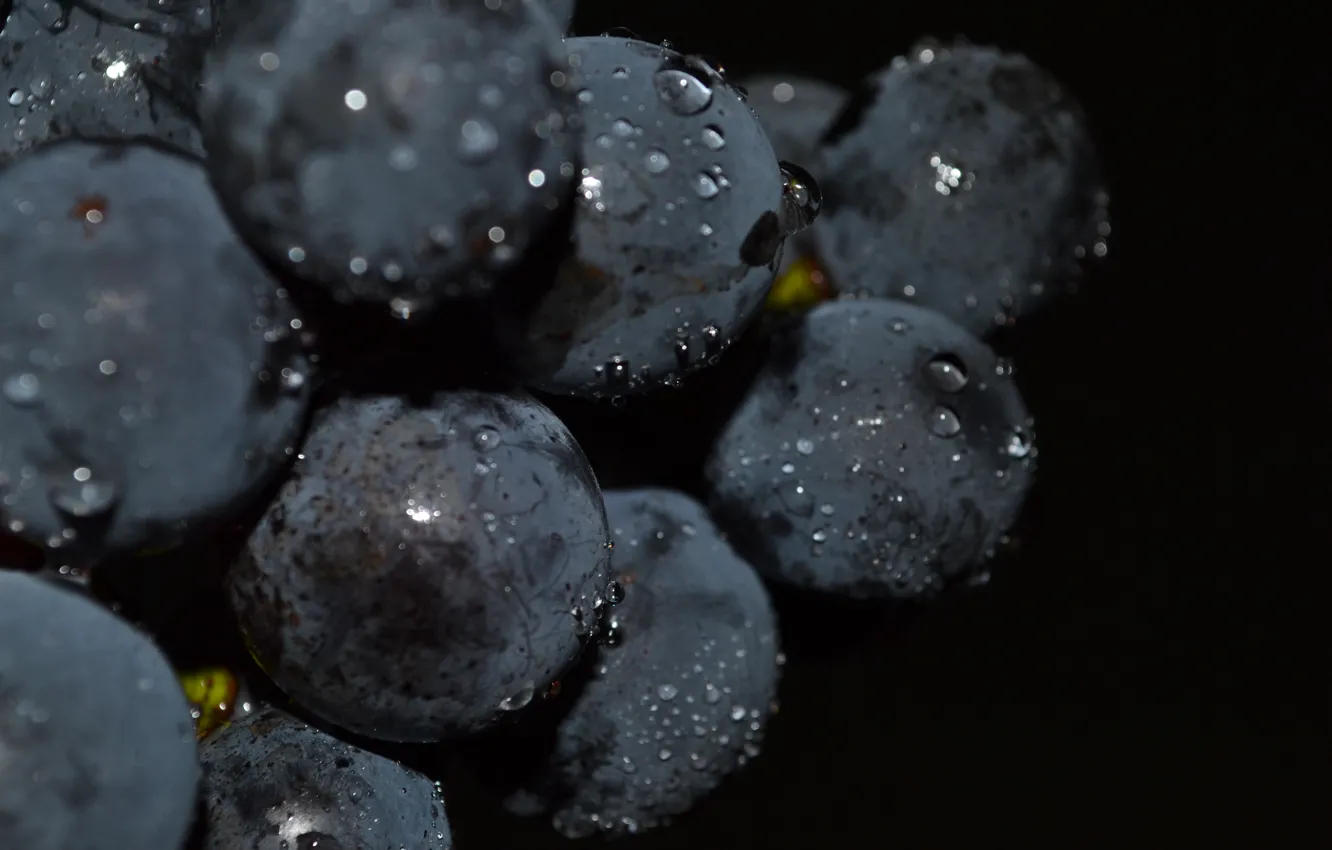 Photo wallpaper drops, macro, grapes, black background