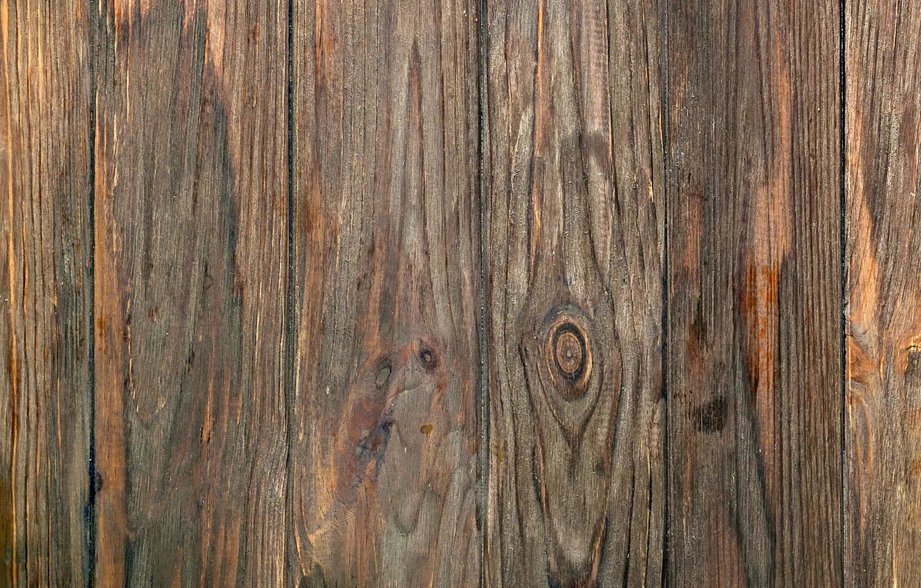 Photo wallpaper color, wood, texture