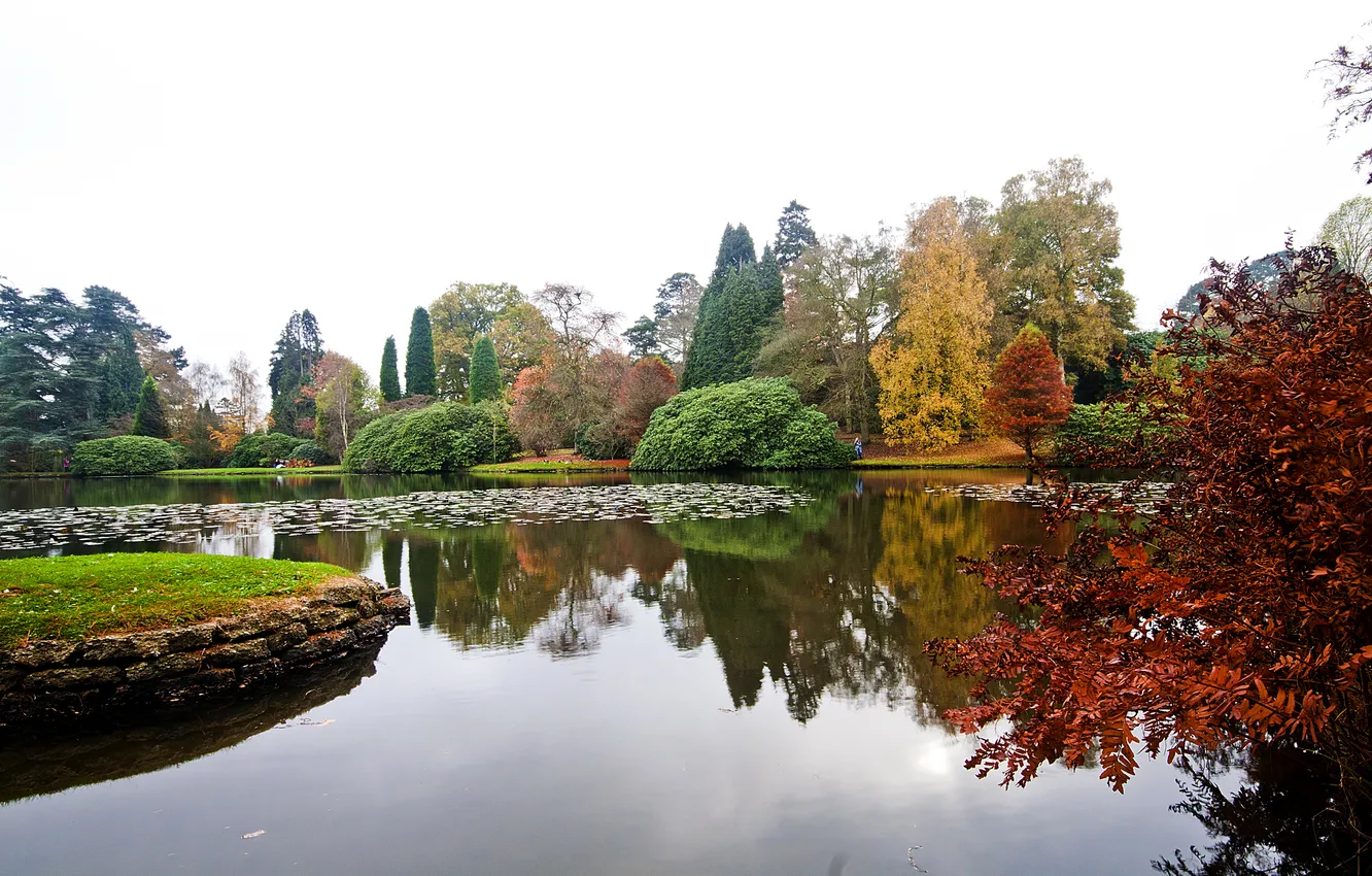 Photo wallpaper autumn, trees, pond, Park, UK, Sheffield Park Garden