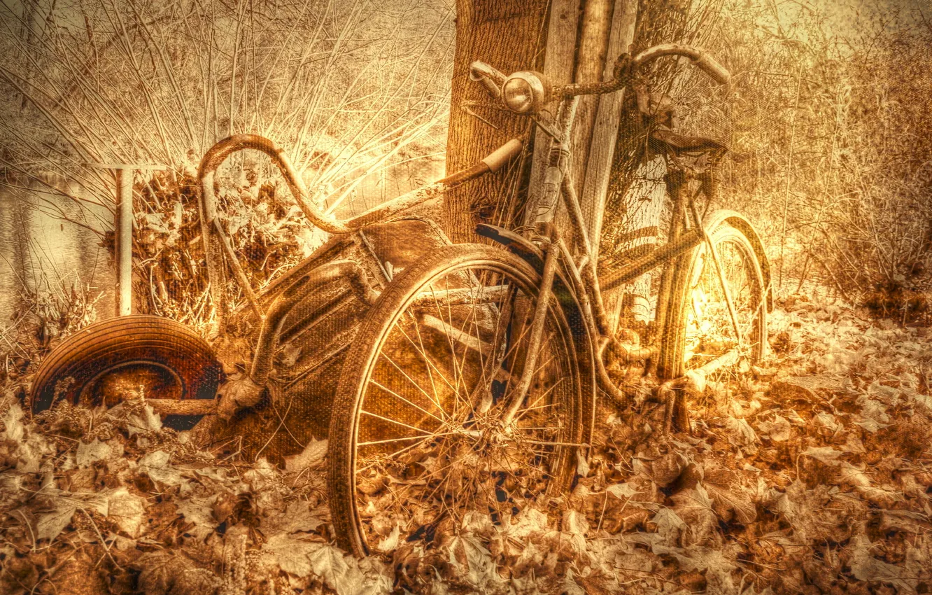 Photo wallpaper bike, background, texture