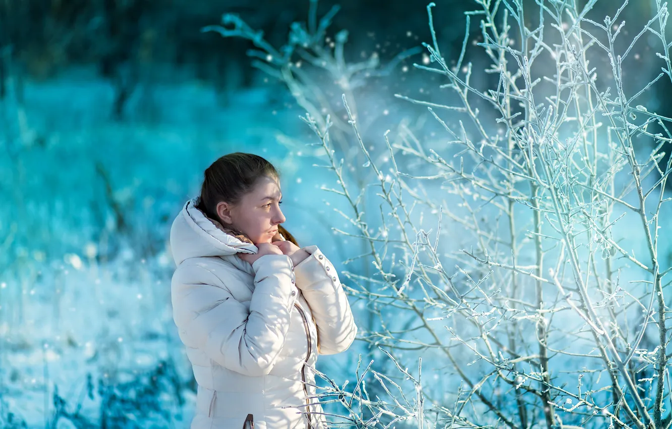 Photo wallpaper girl, snow, morning, frost