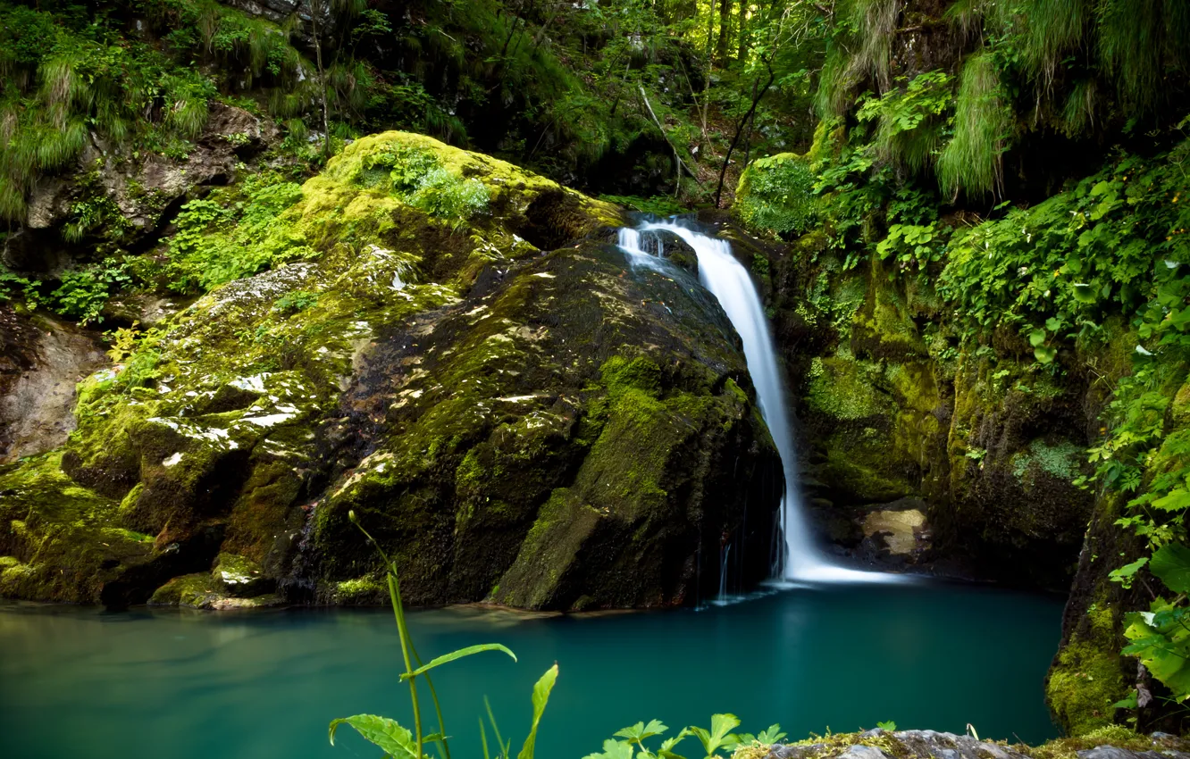 Photo wallpaper greens, forest, stones, waterfall, moss, Croatia
