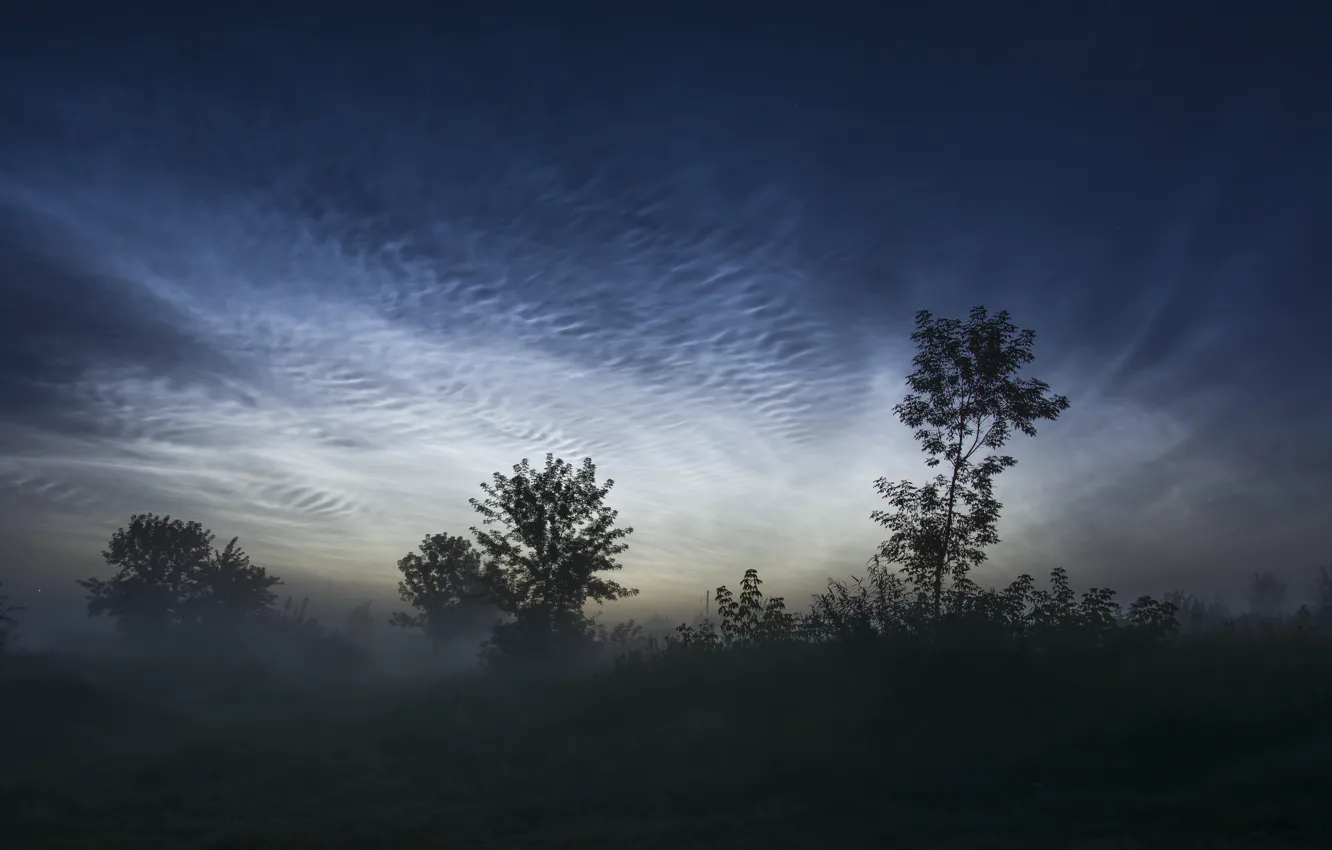 Photo wallpaper clouds, fog, dawn, morning