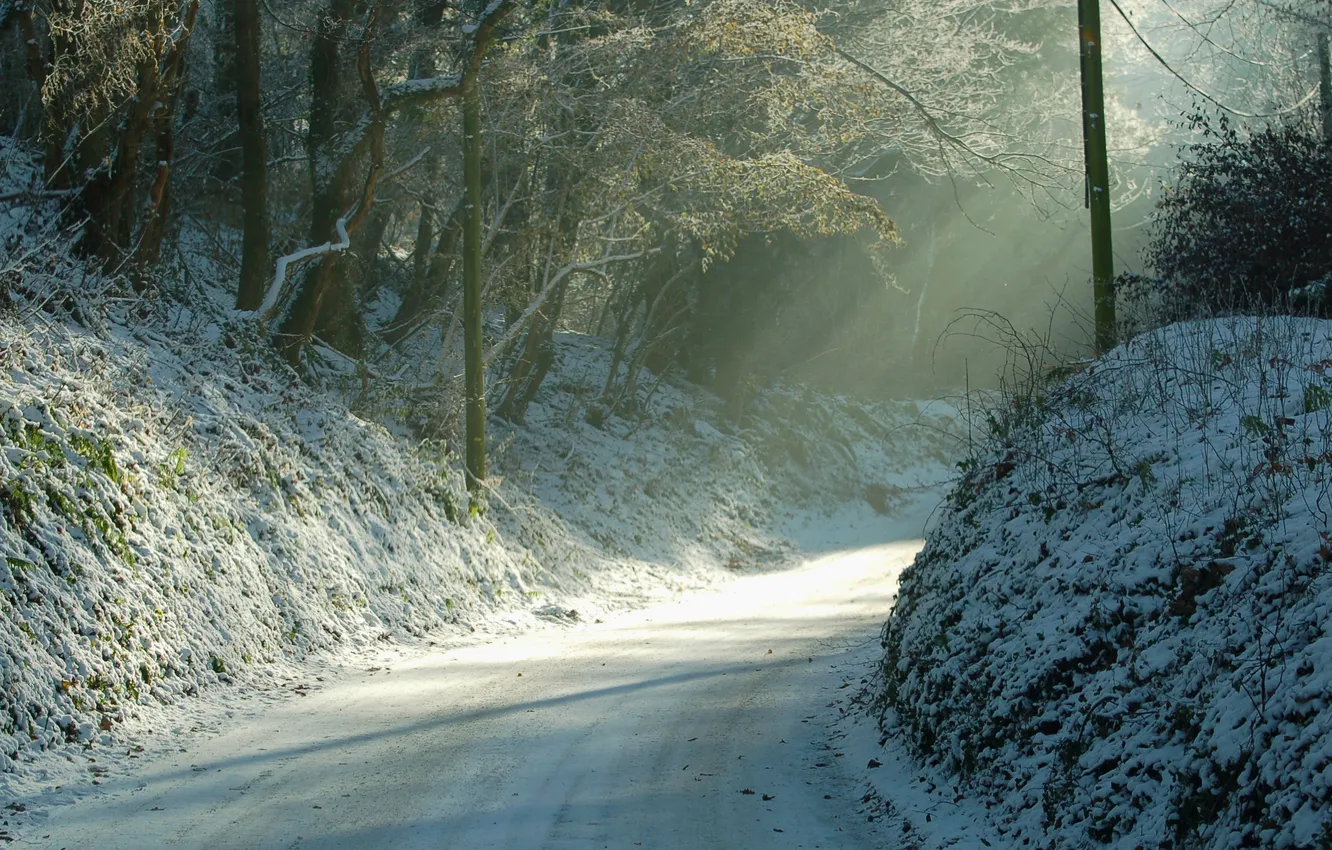 Photo wallpaper winter, road, light, nature, morning, turn