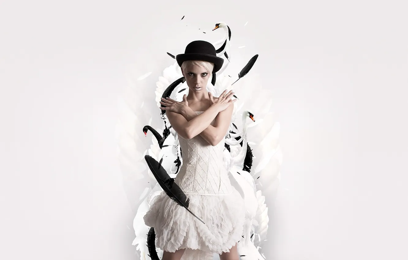 Photo wallpaper white, hat, feathers, dress