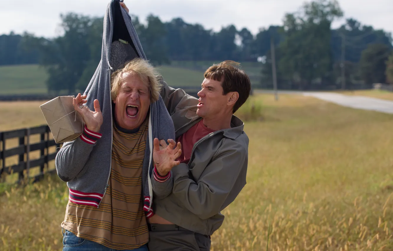 Photo wallpaper Jim Carrey, Jeff Daniels, Dumb and Dumber To, Dumb and dumber 2