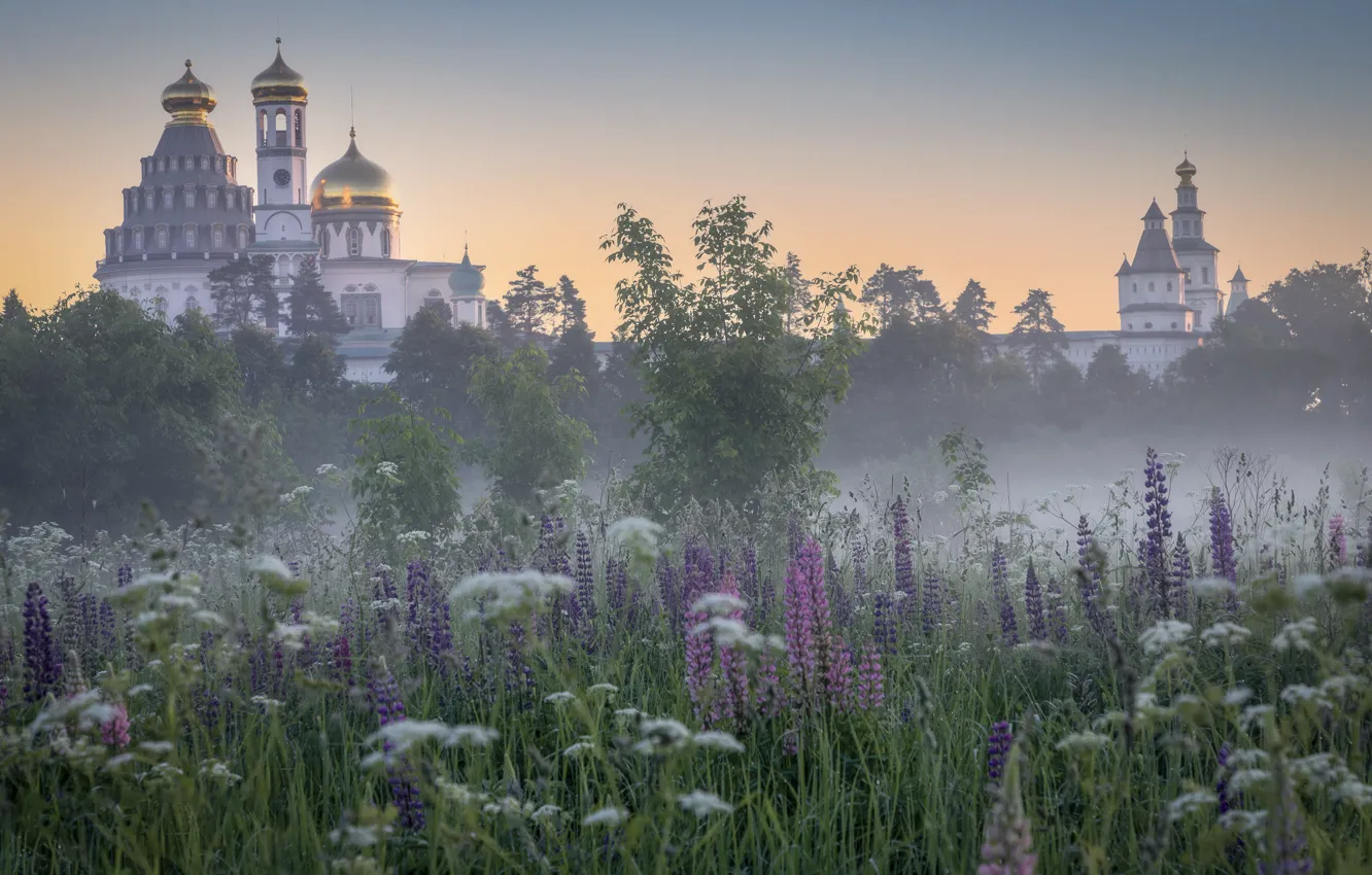 Photo wallpaper landscape, nature, fog, dawn, morning, grass, Elena Guseva, New Jerusalem Monastery