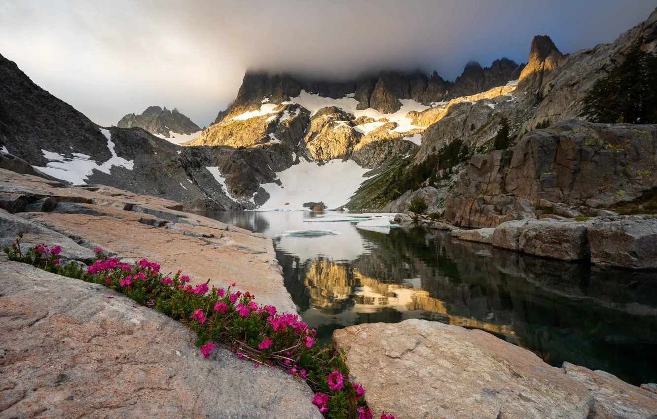 Photo wallpaper flowers, mountains, lake, stones, rocks