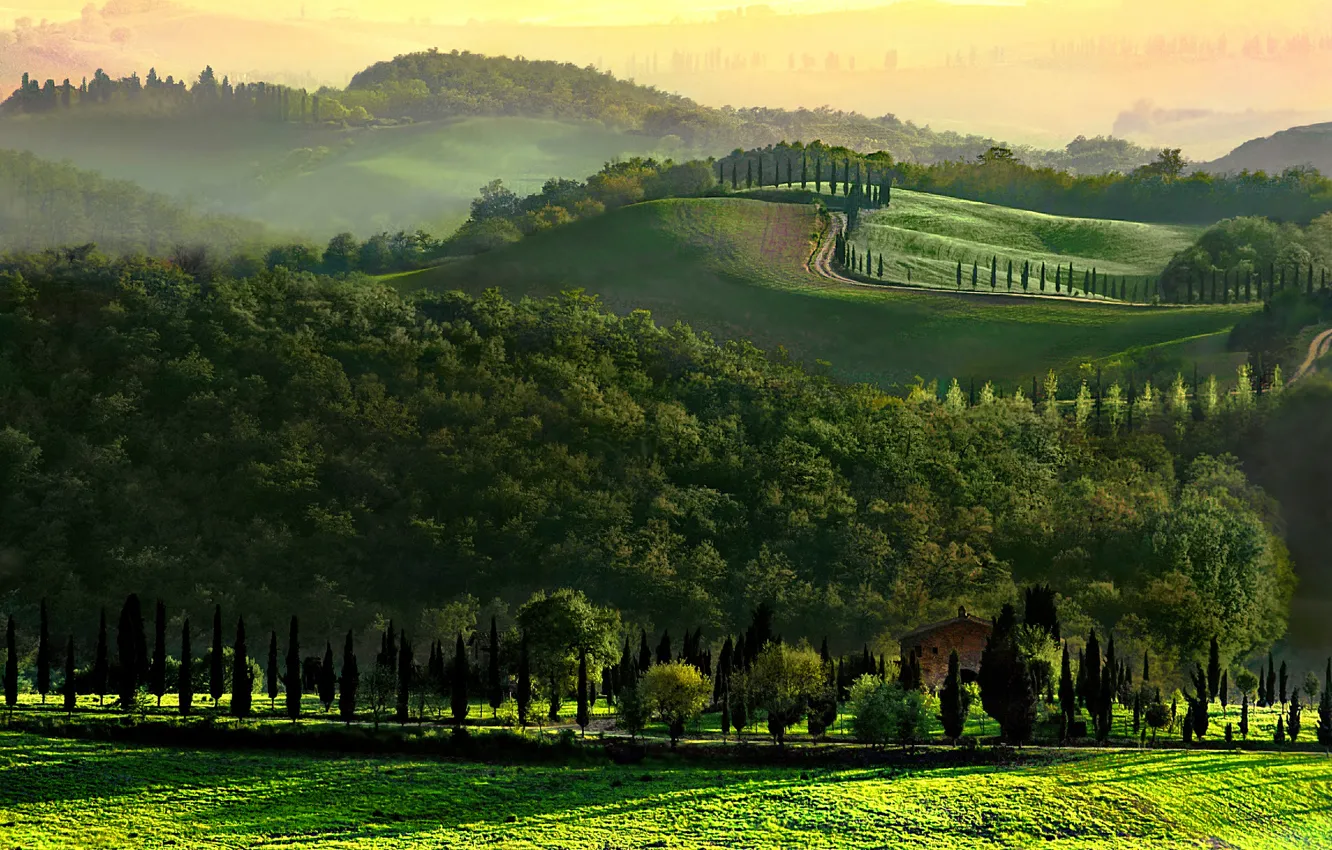 Photo wallpaper road, trees, hills, morning, Italy, Tuscany