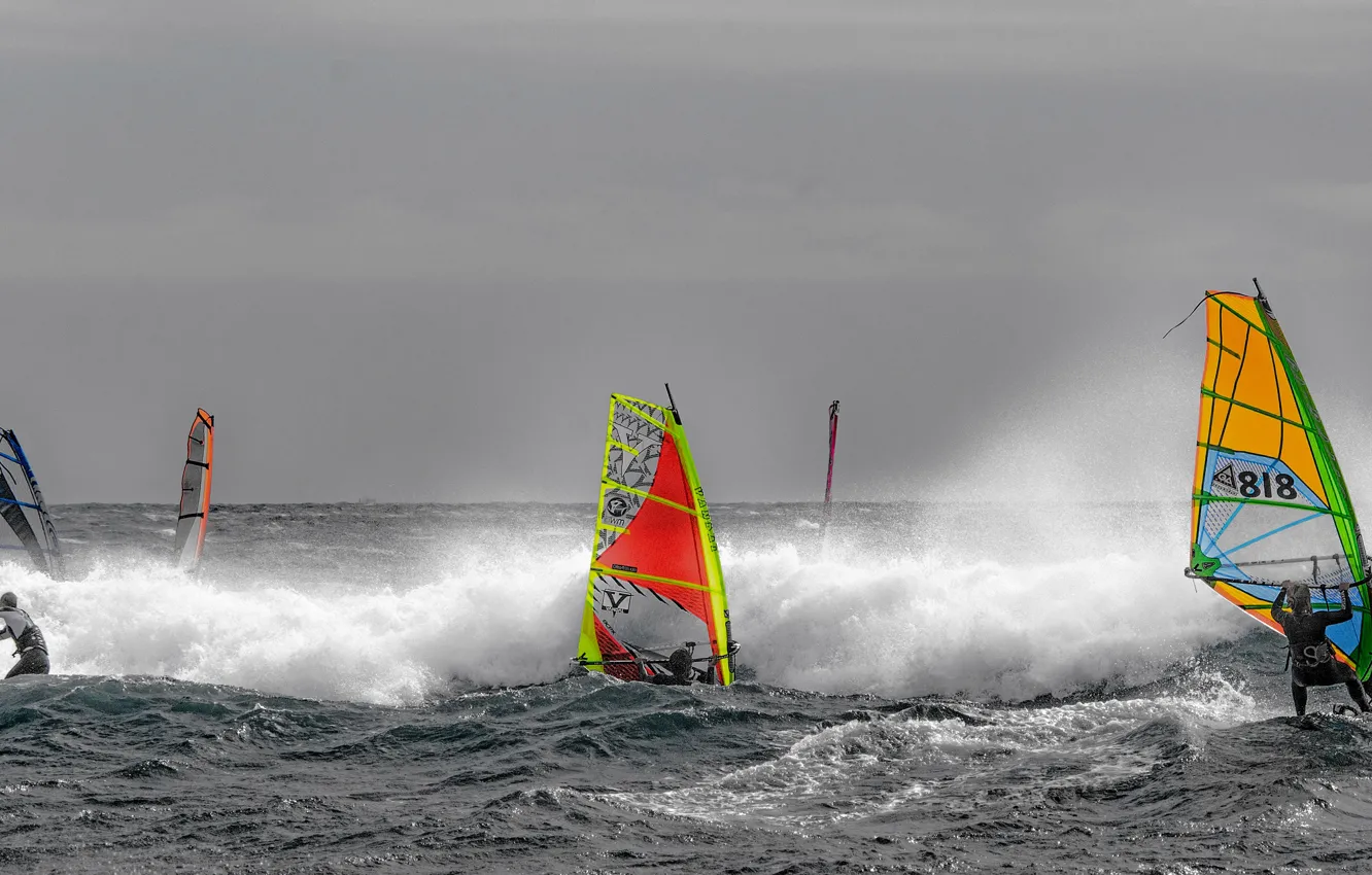 Photo wallpaper sea, wave, the wind, sail, Board, regatta, Windsurfing