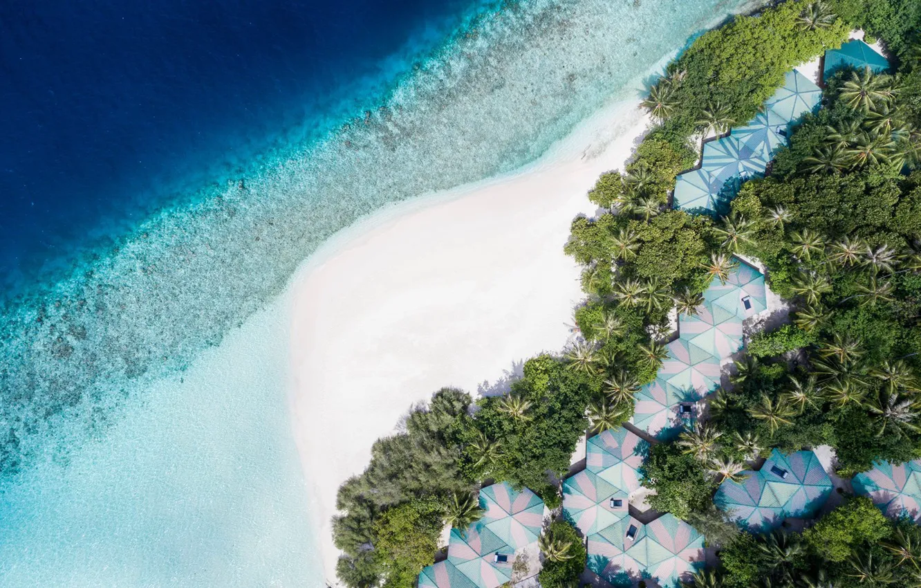 Photo wallpaper beach, palm trees, the ocean, top, The Maldives, resort, Maldives, Embudu Village