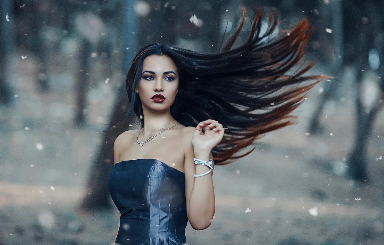 Photo wallpaper girl, the wind, hair, makeup, Alessandro Di Cicco, The cold woods