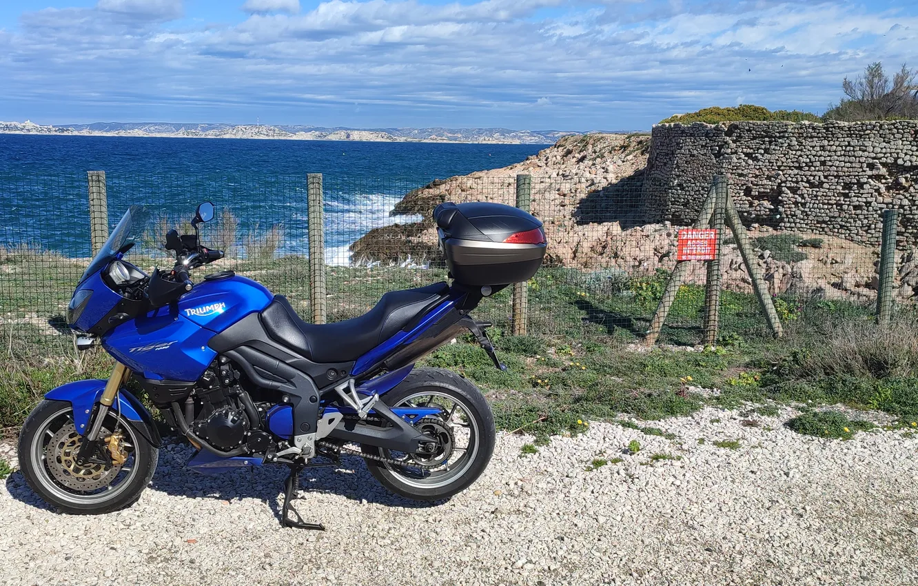 Photo wallpaper Marseille, tiger • triumph • 1050