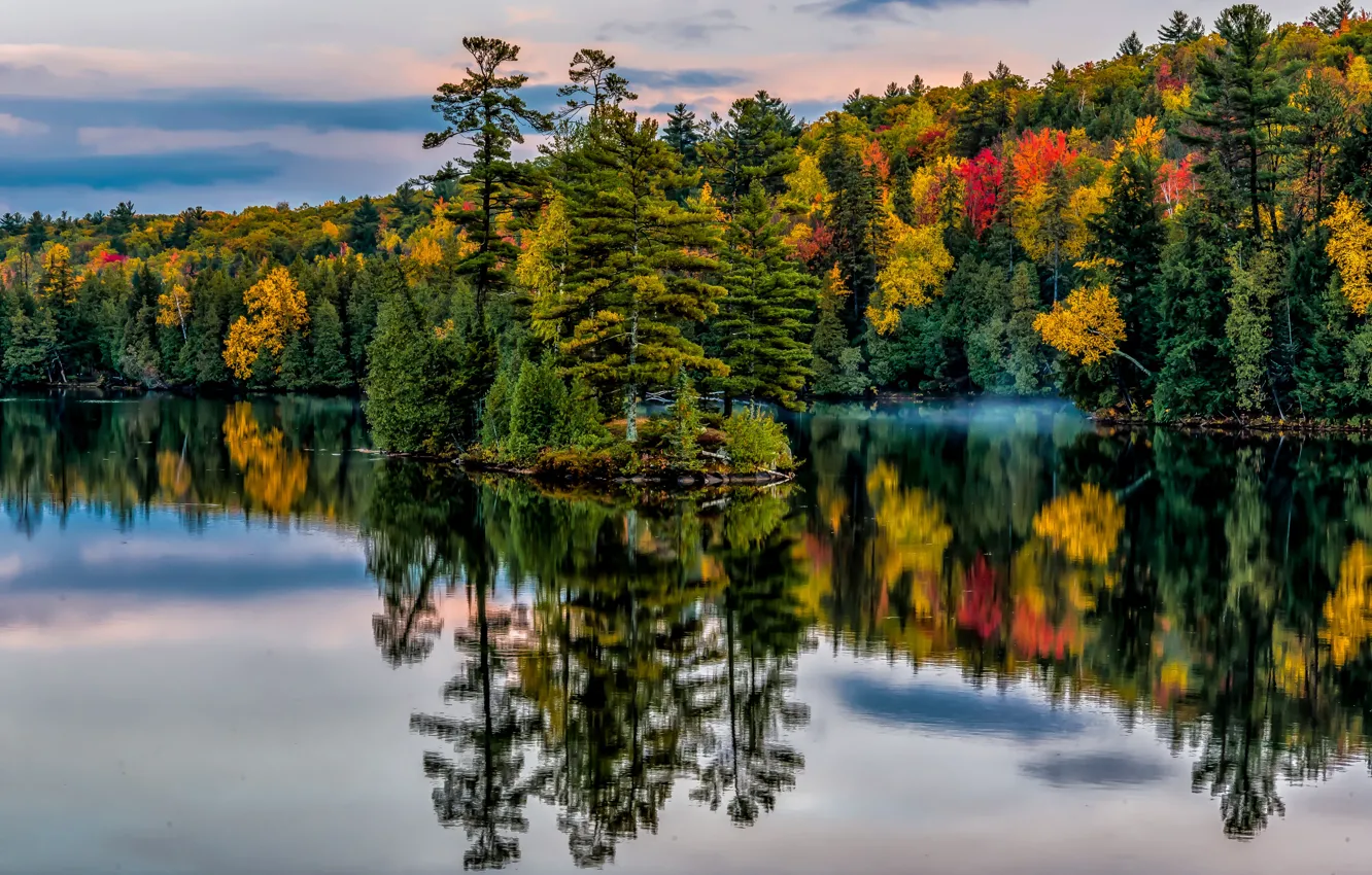 Photo wallpaper autumn, forest, trees, lake, Park, reflection, Canada, Ontario