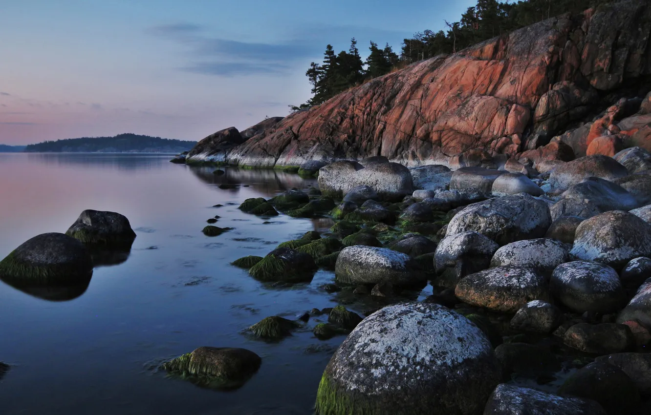 Photo wallpaper forest, mountains, stones, shore, pond