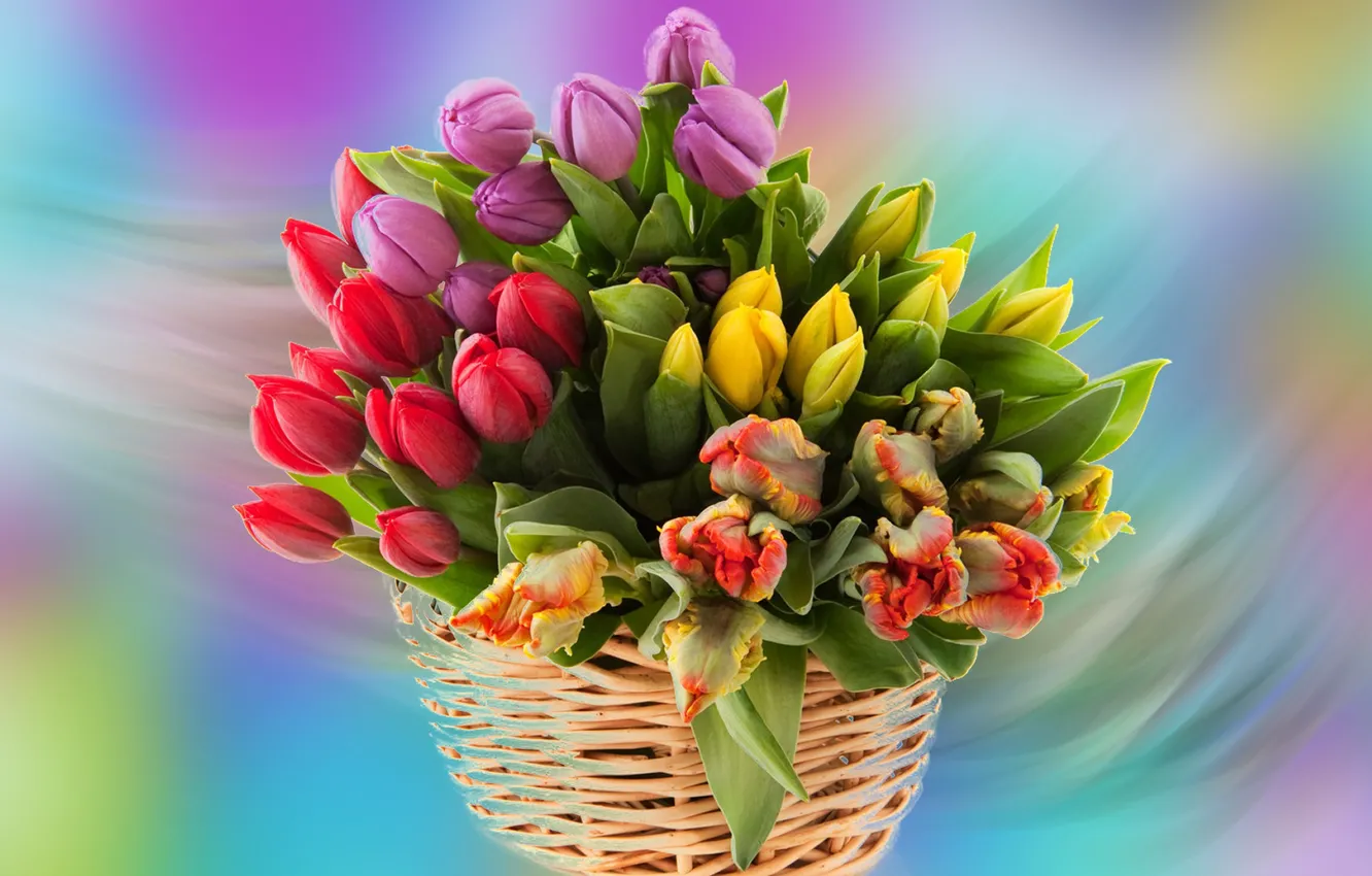 Photo wallpaper Tulipany, Flowers, Bukiet