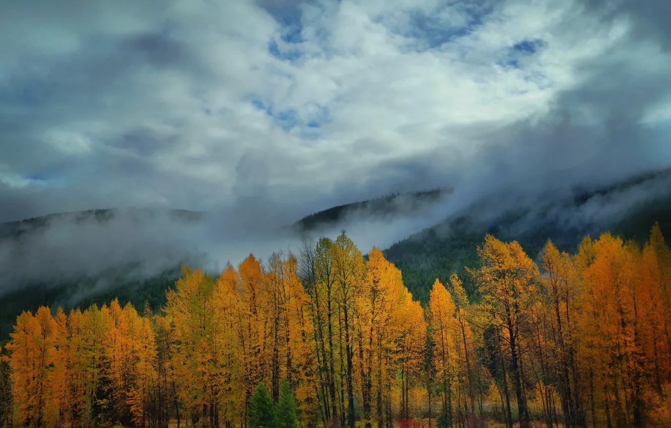 Photo wallpaper autumn, clouds, trees, mountains