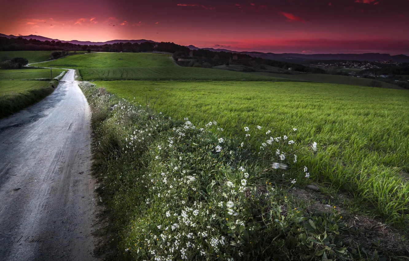 Photo wallpaper road, field, sunset