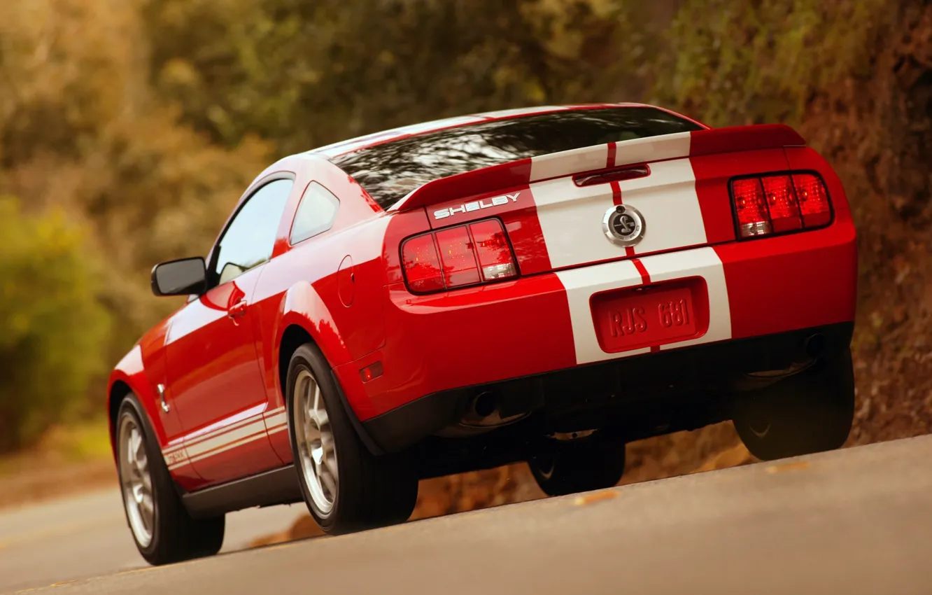 Photo wallpaper Shelby, GT500, Cobra