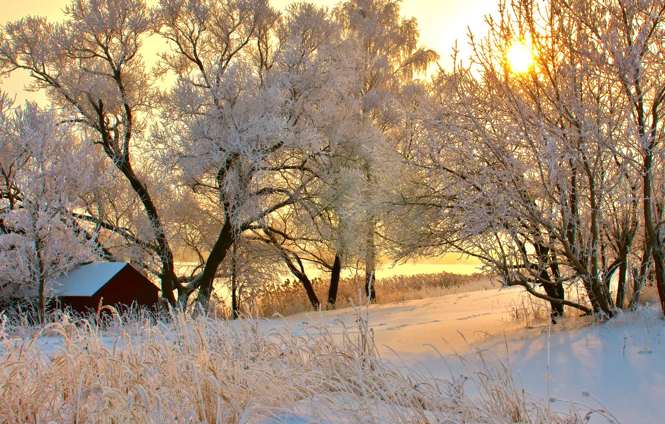 Photo wallpaper winter, road, the sun, snow, trees, sunset, home, snowy