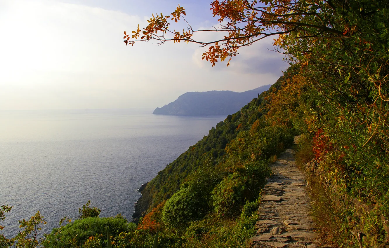 Photo wallpaper sea, autumn, the sky, trees, mountains, Italy, track, Cinque Terre