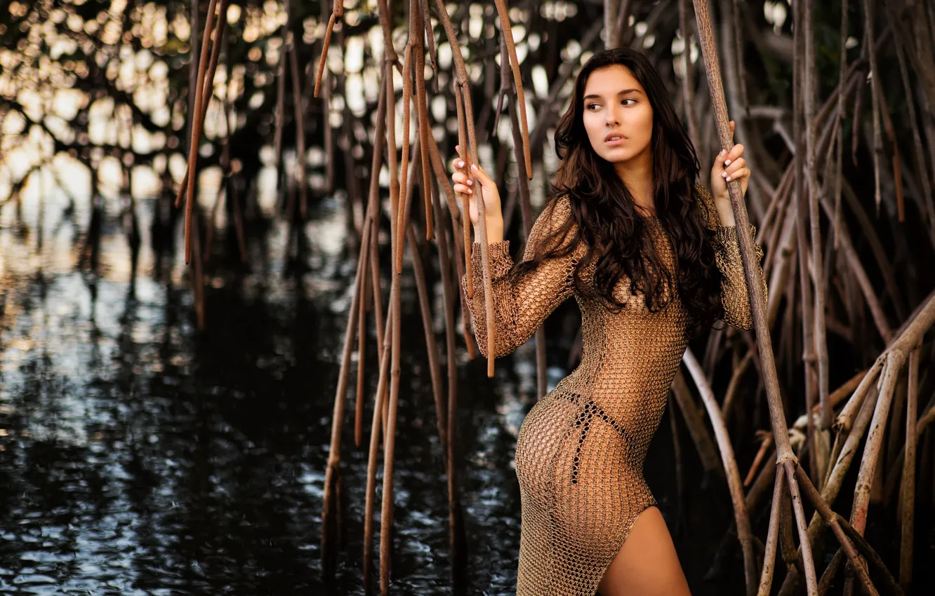 Photo wallpaper water, branches, pose, figure, dress, Camila, mangroves, Christopher Rankin