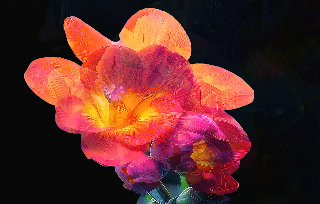 Photo wallpaper line, flowers, paint, petals