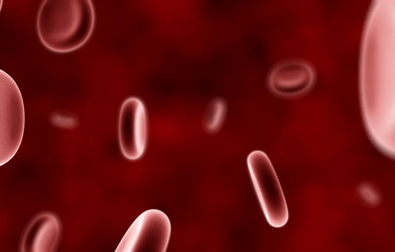 Photo wallpaper red, blood, blood cells