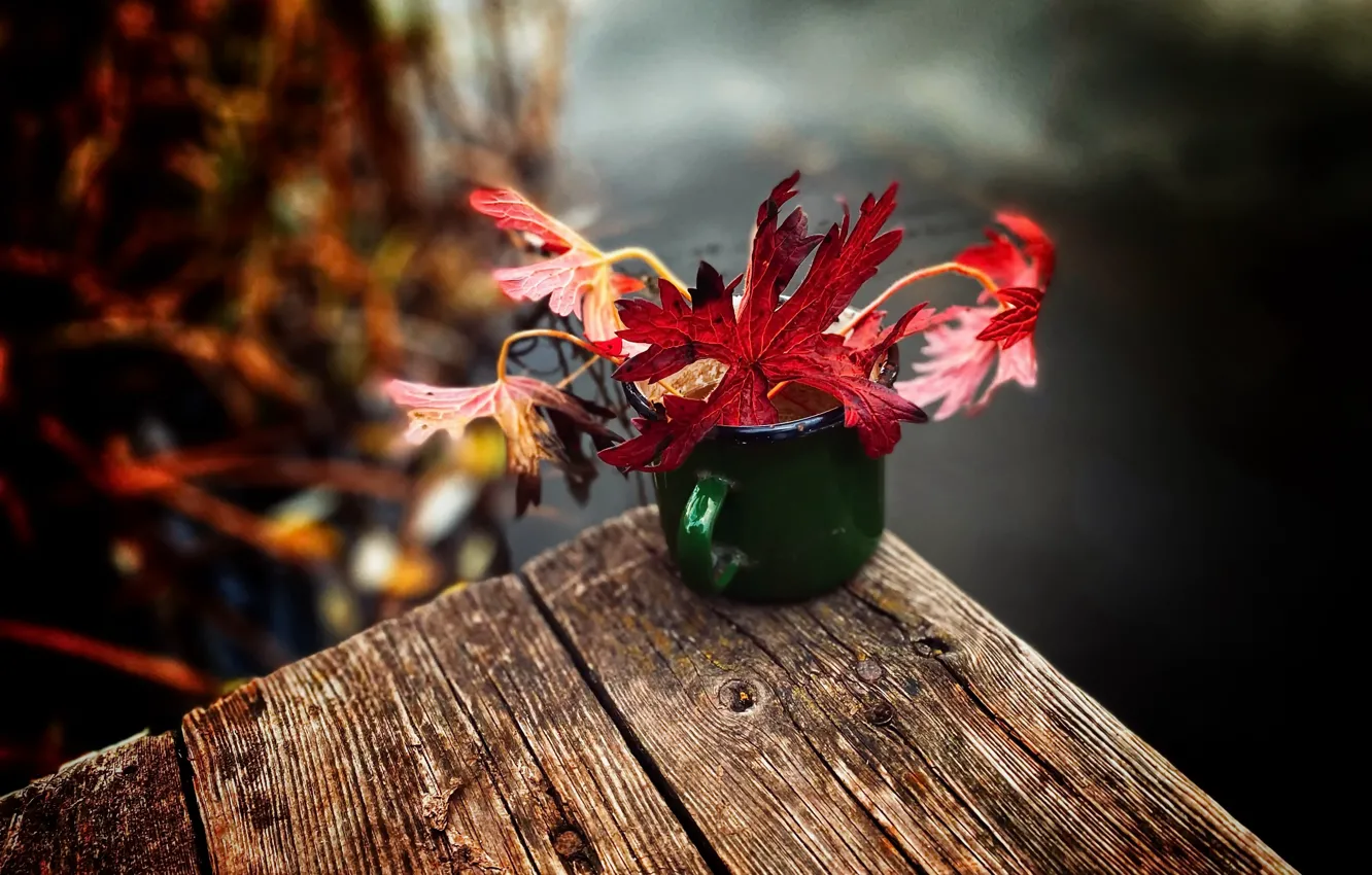 Photo wallpaper autumn, leaves, bridge, lake, mug