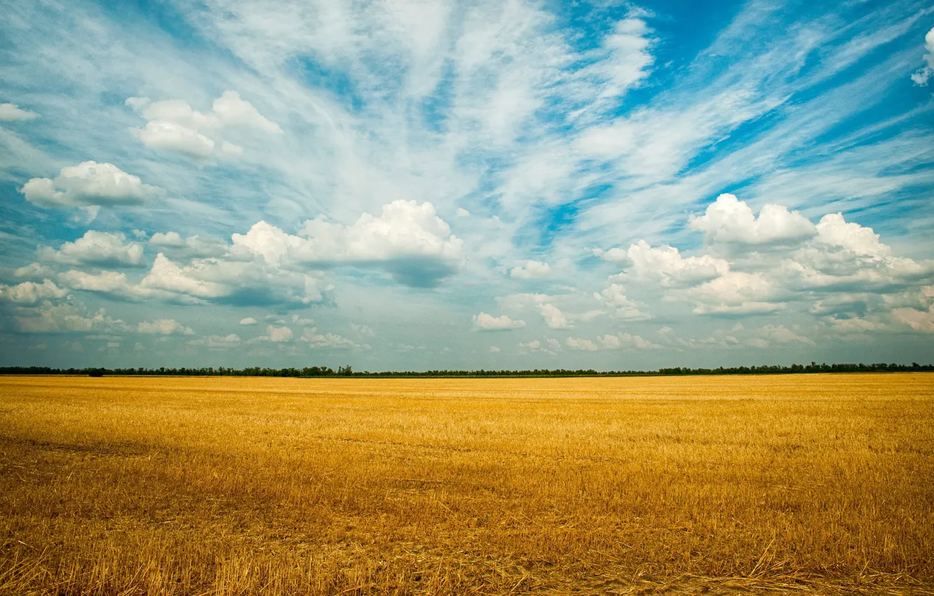 Photo wallpaper field, clouds, yellow, nature, blue, contrast, space, cereals