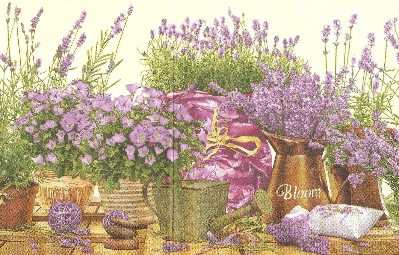 Photo wallpaper purple, bells, lavender, Purple flowers