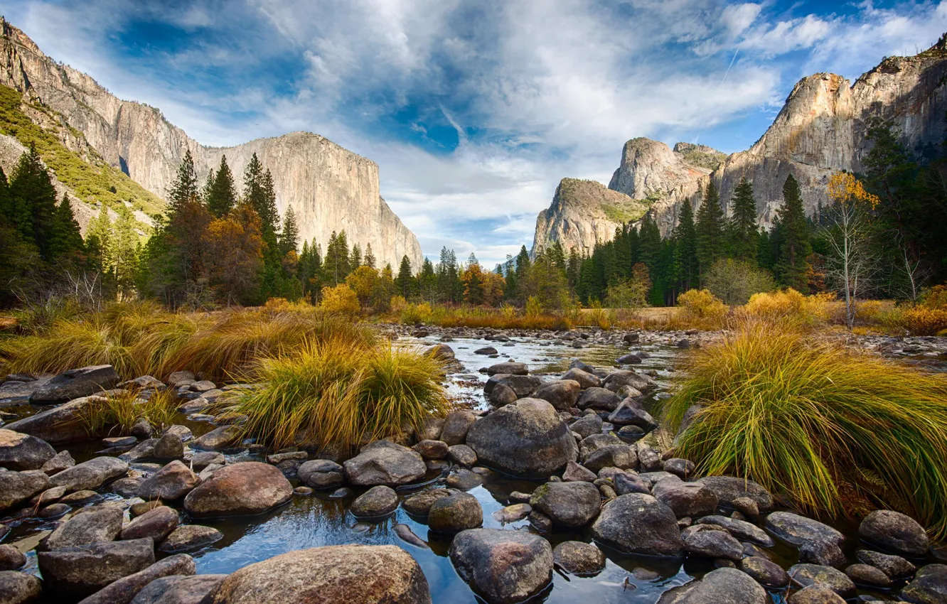 Photo wallpaper forest, landscape, mountains, Park, river, Yosemite, fog, waterfall