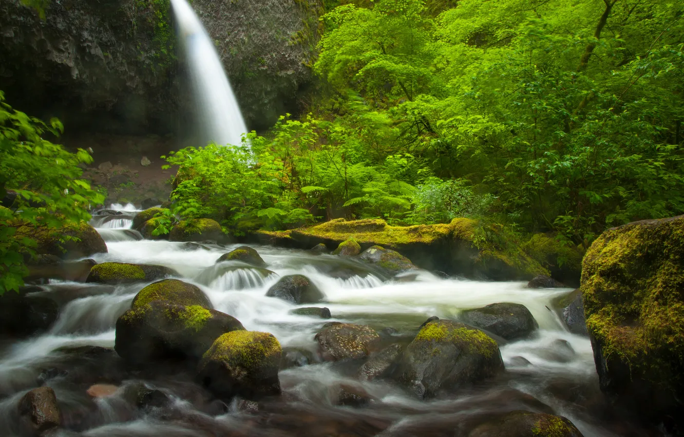 Photo wallpaper forest, river, stones, waterfall, Oregon, Columbia River Gorge, Ponytail Falls