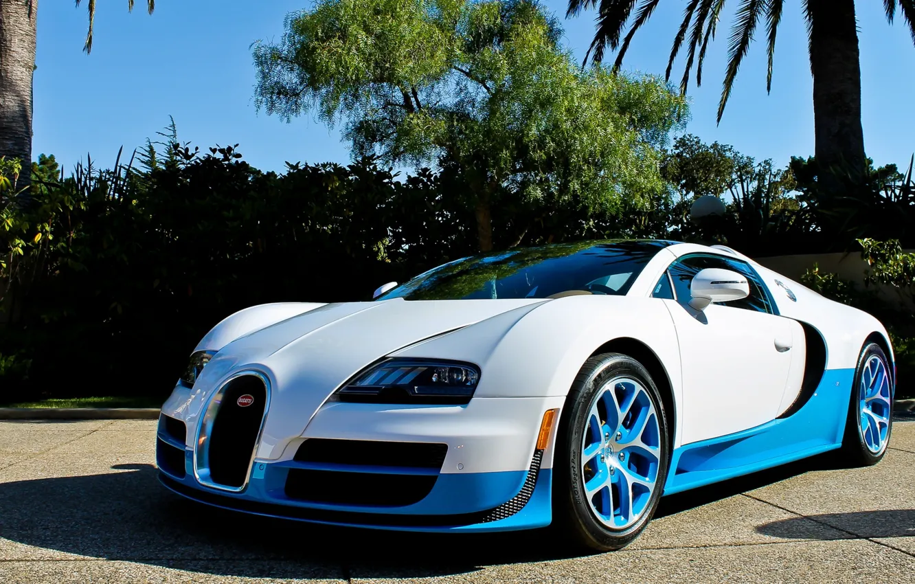 Photo wallpaper Bugatti Veyron, hypercar, white color, car