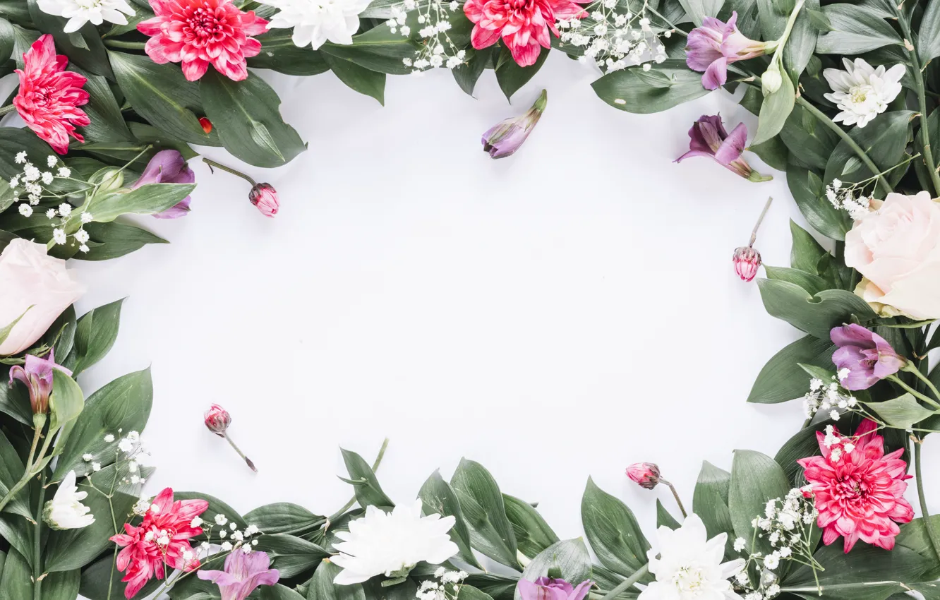 Photo wallpaper flowers, frame, colorful, pink, flowers, frame, floral