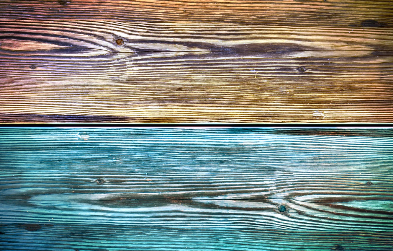Photo wallpaper color, wood, texture