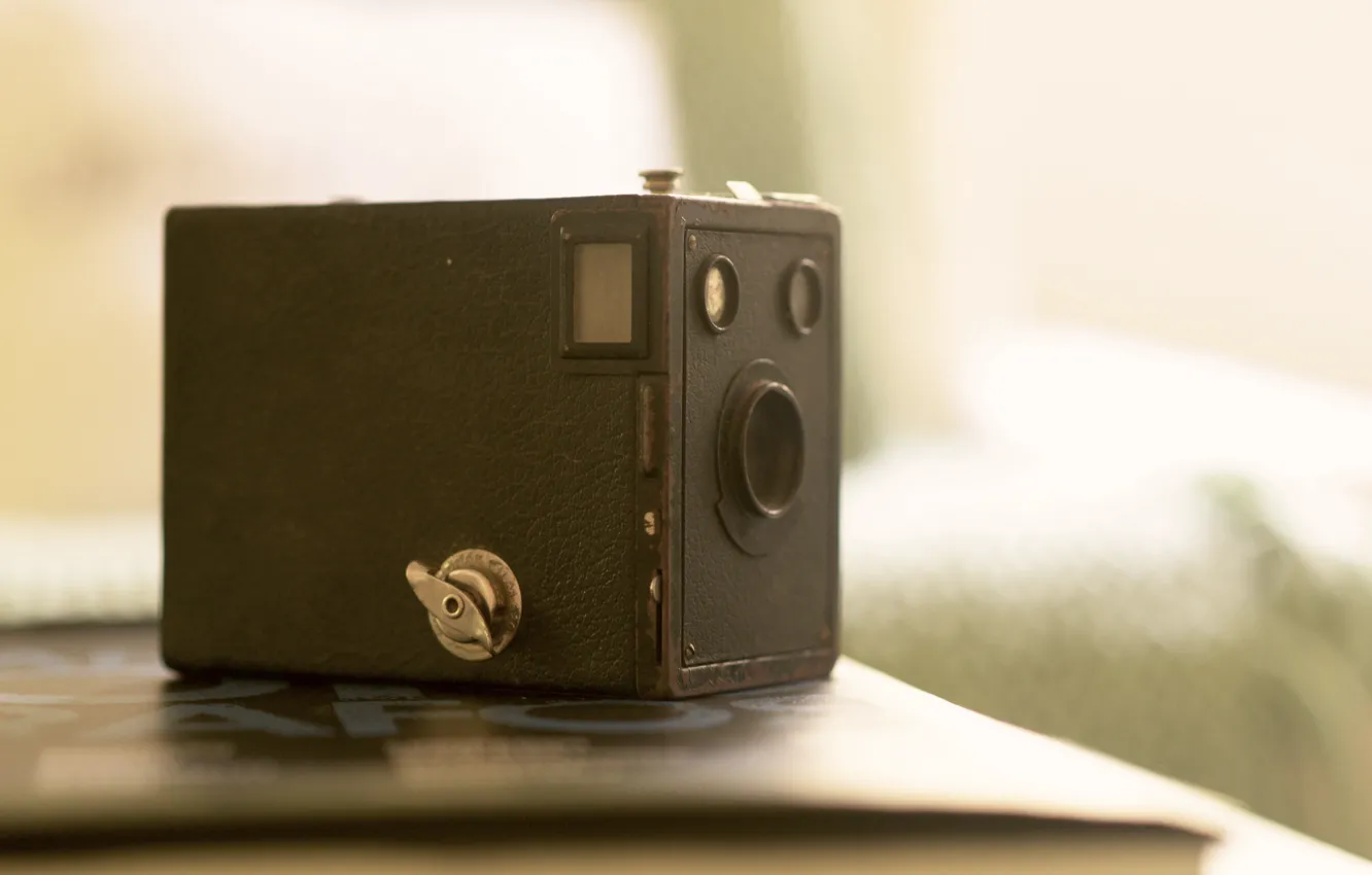 Photo wallpaper macro, background, camera